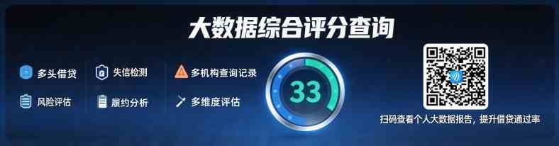 大数据综合评分查询